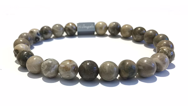 natural-chrysanthemum-fossil-coral-bracelet-necklace